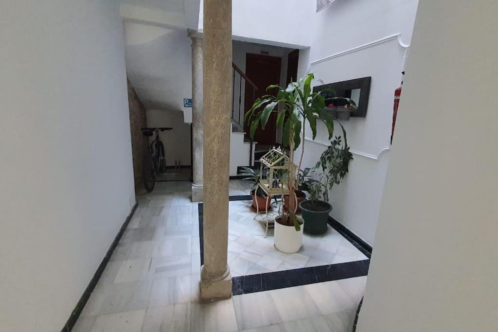 Aloja T Elvira Appartement Granada Buitenkant foto